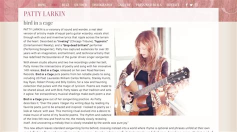 New official website for Patty Larkin | Slabmedia