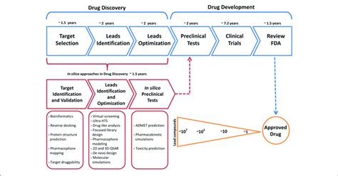 | Common timeline for drug discovery/drug development and the key role ...