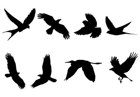 Free Flying Bird Silhouette Vector | Flying bird silhouette, Bird ...