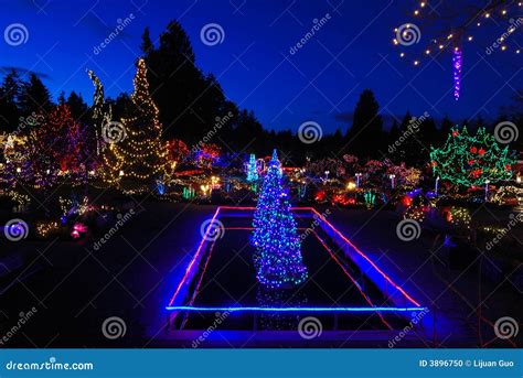 Christmas lights festival stock photo. Image of garden - 3896750