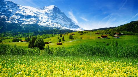 Wallpaper Switzerland, 5k, 4k wallpaper, mountains, meadows ...