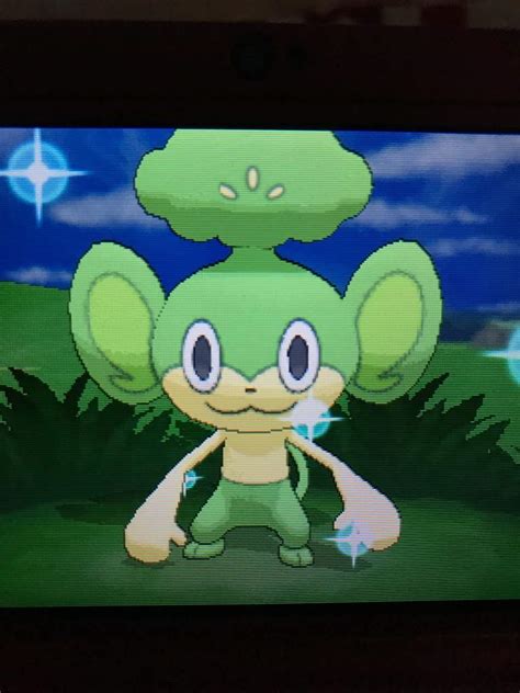 Shiny Pansage! :p | Shiny Pokemon Amino Amino