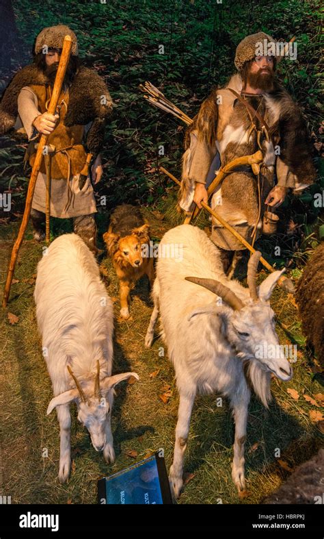 Pastoral people of corded ware culture, Stone Age, diorama, Carpathian ...