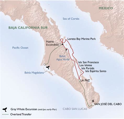 Ultimate Baja Mexico Cruise: The Sea of Cortez with UnCruise