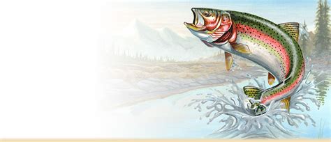 Rainbow Trout Jumping Painting at PaintingValley.com | Explore ...