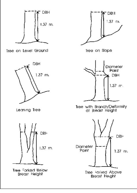 Proper method for measurement of diameter–at–breast–height (DBH) of the ...