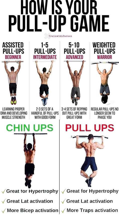 Pull Up Workout Muscle Groups