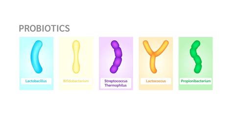 Probiotics lactic acid bacterium in milk, yogurt. Label Bifidobacterium ...