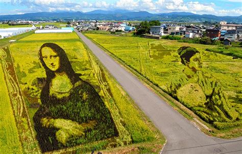 Famed paintings come to life in the wind in Aomori rice paddies | The ...