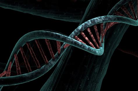 Scientists find a genetic cause of lupus