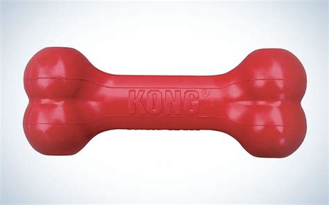 Best dog toys of 2023 | Popular Science