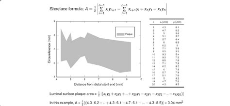 Download Shoelace Formula Graphand Calculation | Wallpapers.com