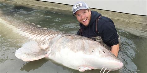 Largest Freshwater Fish In The World | Vancouver Sturgeon Fishing