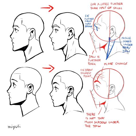 Side Profile Drawing Reference Male - Rifleman Wallpaper