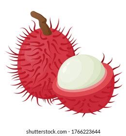 1,462 Rambutan cartoon Images, Stock Photos & Vectors | Shutterstock