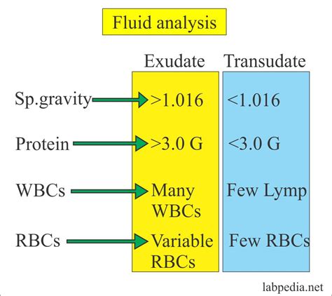 Fluid Analysis – Part 2 – Various fluids Analysis, Transudate and ...