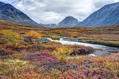 What Is The Tundra? - WorldAtlas