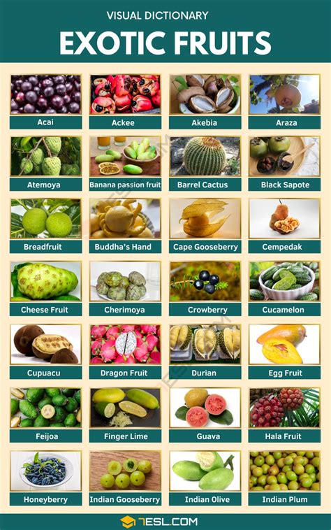 Exotic Fruits Names in English with Pictures • 7ESL