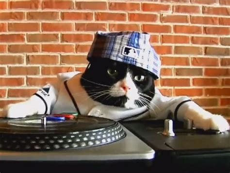 DJ Kitty is ready for new Rays season -- Are you?