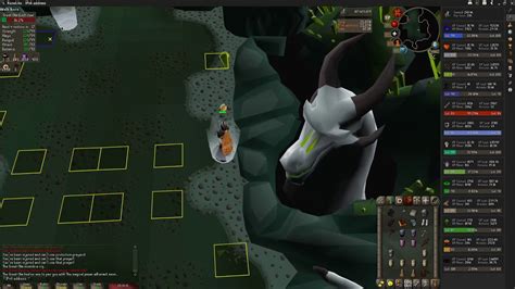 OSRS: First Olm kill solo, with no deaths - YouTube