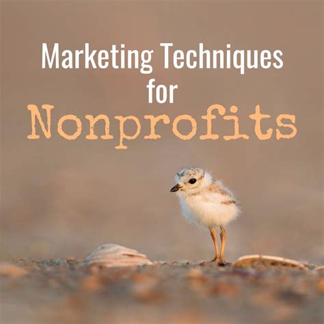 Top 5 Marketing Techniques for Nonprofits - Nonprofit Marketing ...