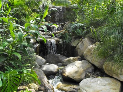 "A Very Tropical Garden Waterfall" | Wasserfall garten, Kleine ...