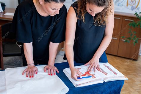 Osteopathy treatment - Stock Image - C045/8661 - Science Photo Library