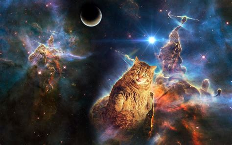 Cool Space Cat Wallpapers - Top Free Cool Space Cat Backgrounds ...