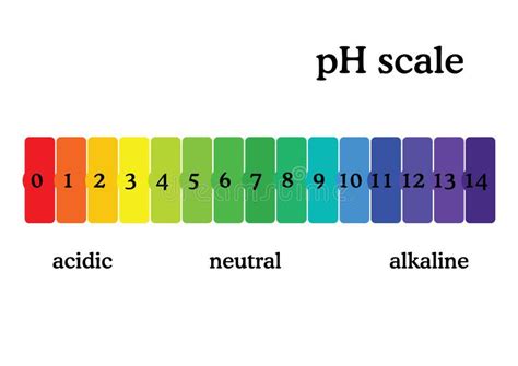 The PH Scale Universal Indicator PH Color Chart Diagram Stock Vector ...