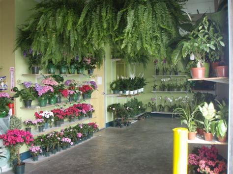 Orange County Wholesale Flowers - Florists - Santa Ana, CA, United ...