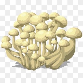 Fungi Png - Fungi Bacteria Clipart, Transparent Png - 1000x866(#6402813 ...