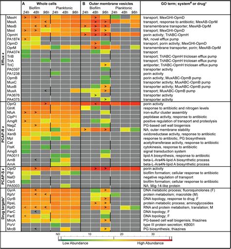 Antimicrobial Chart