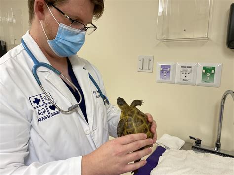 Avian & Exotics Veterinarian Services | Exotic Animal Vet