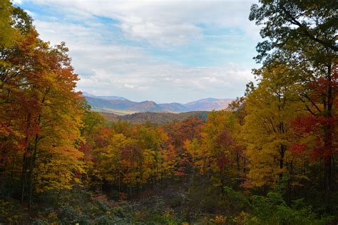 Why Fall Is the Perfect Time to Vacation in Gatlinburg | Cabin Rental Store