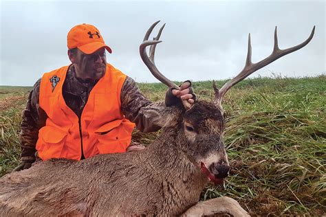 How To Successfully Still Hunt Whitetails - North American Whitetail