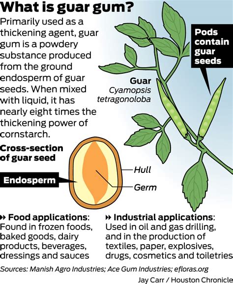 Hydraulic fracturing chews into guar gum supplies