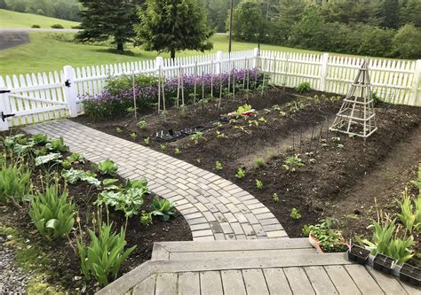 Gardening in Coastal Maine – Planting Zone 6a – Mid June | LaptrinhX / News