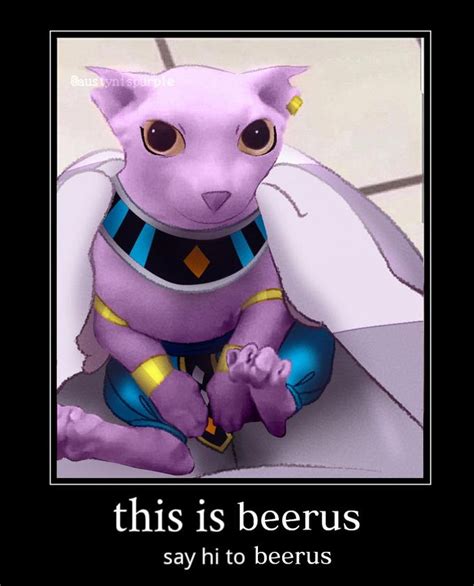 This is beerus say hi to beerus | Bingus in 2021 | Memes, Anime memes ...