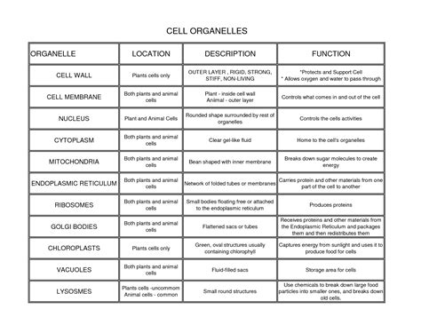 What is the main function of cell organelles?