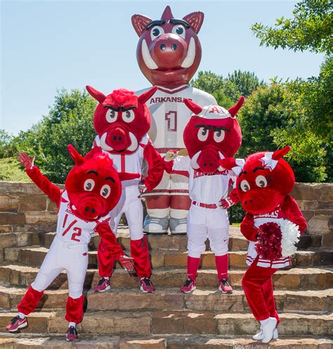 Spirit Squads | Arkansas Razorbacks