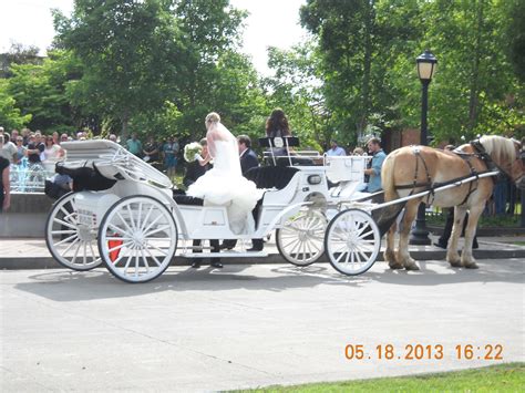 Sugar Creek Carriages: Horse Drawn Wedding Carriage