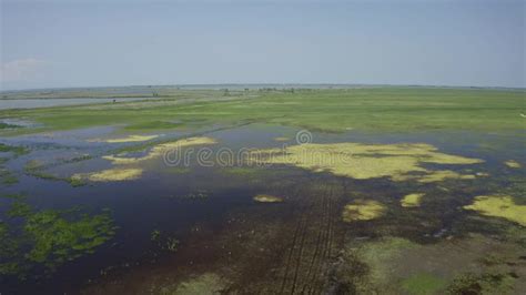 The Marshy, Flooded Area. it is a Unique Ecosystem, Rich in Flora and ...