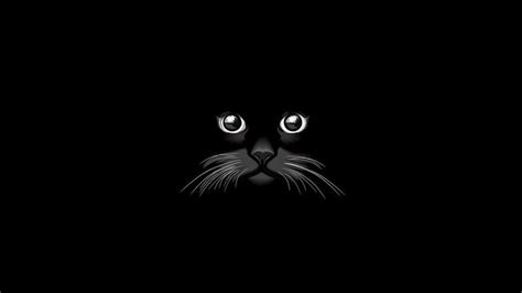 a cat's face is shown in the dark with eyes glowing from behind it