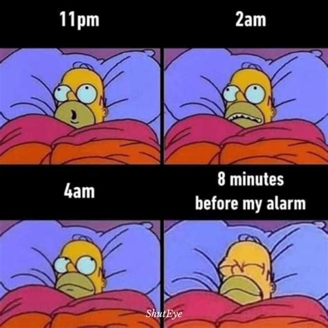 40 of the Funniest Can't Sleep Memes Ever - ShutEye