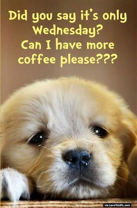 Did you Say Its Only Wednesday Can I Have More Coffee | Morning quotes ...