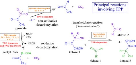 CHEM 245 - Thiamine pyrophosphate