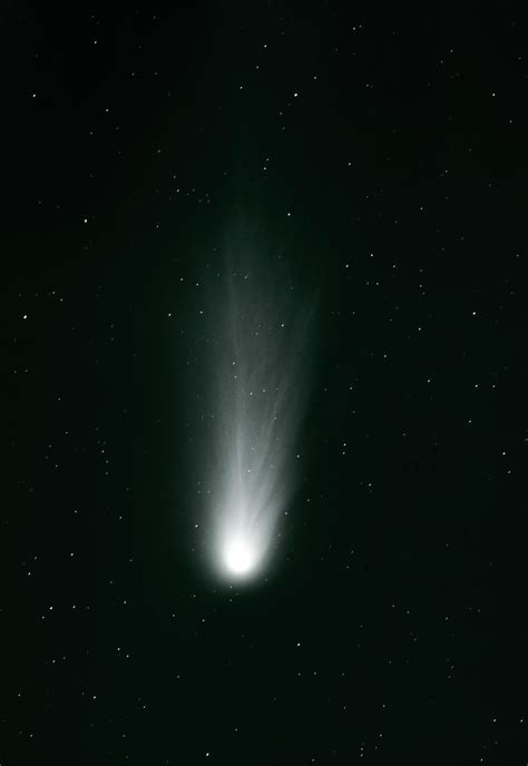 Halley's comet | ESO