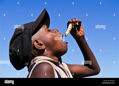 Aboriginal child eating witchetty grub, Australia Stock Photo - Alamy