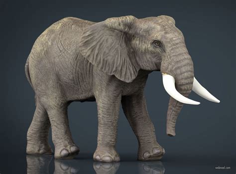 3d Models Elephant Animal By Sanchiesp 9