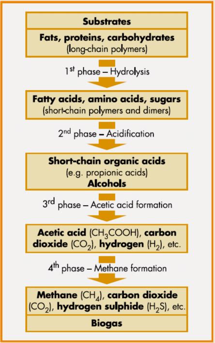 Simplified diagram showing the four main steps of organic matter ...